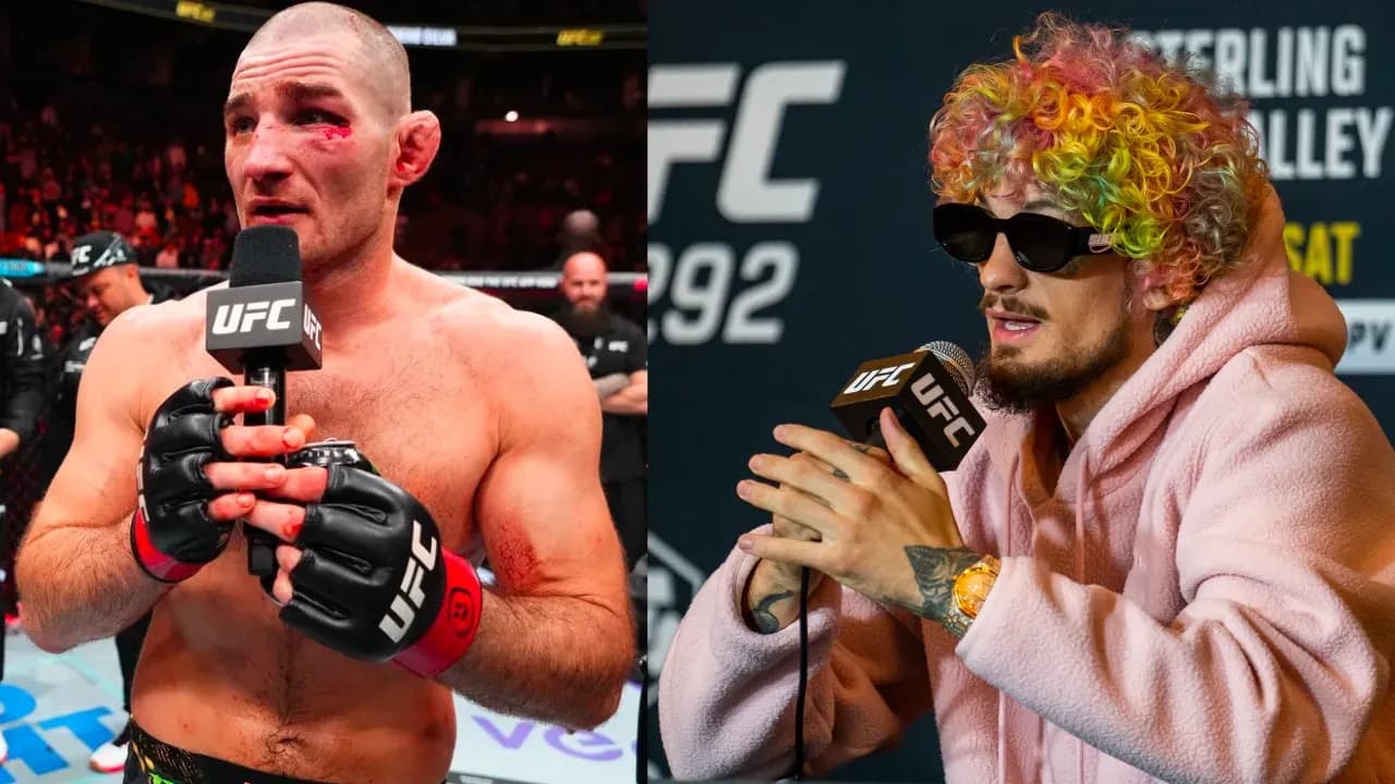 MMA article image