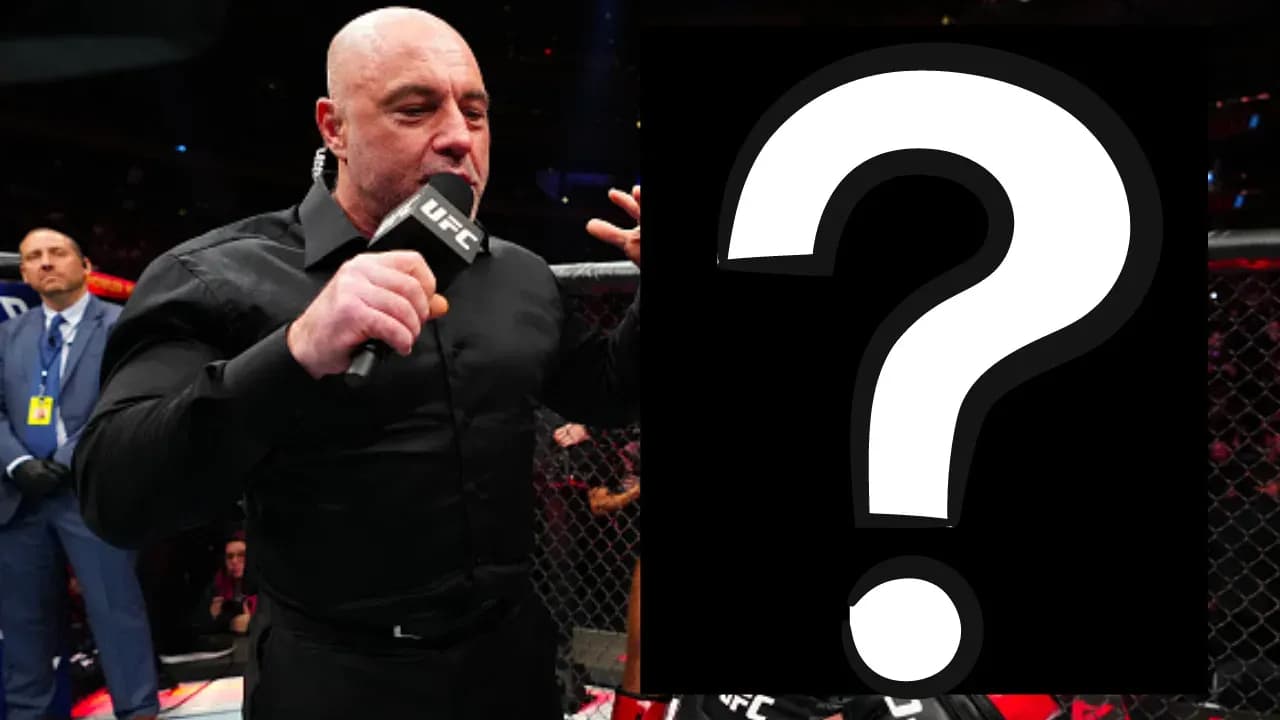 MMA article image