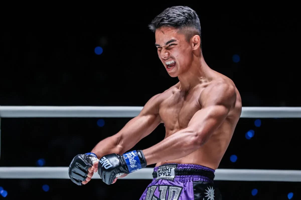 MMA article image