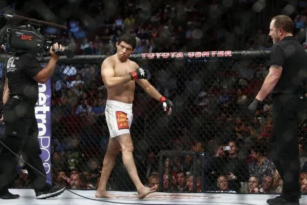 MMA article image