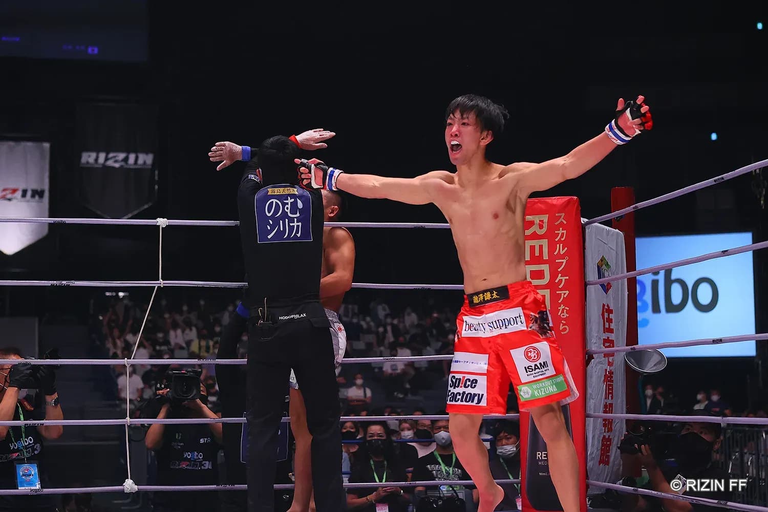 MMA article image