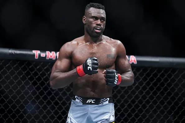 MMA article image