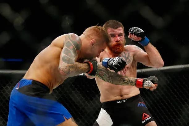 MMA article image