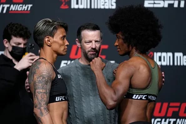 MMA article image