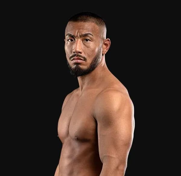 MMA article image