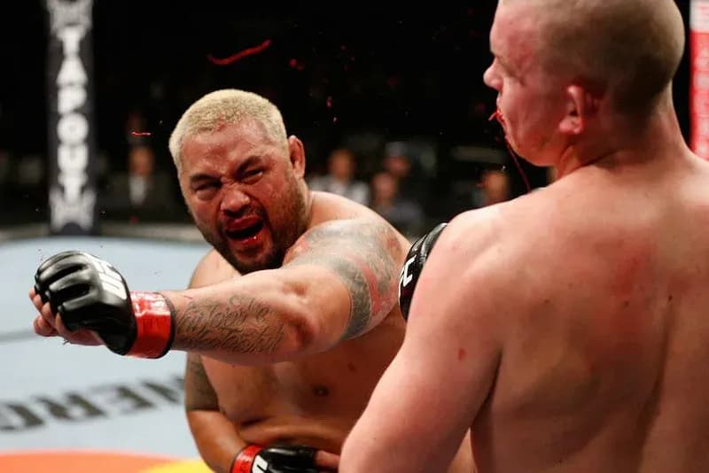 MMA article image