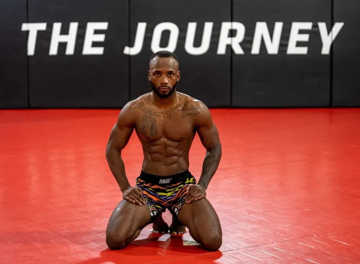 MMA article image
