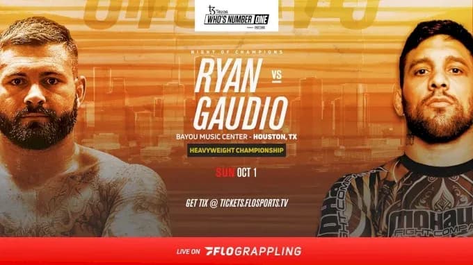 MMA article image
