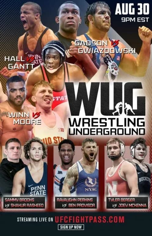 MMA article image