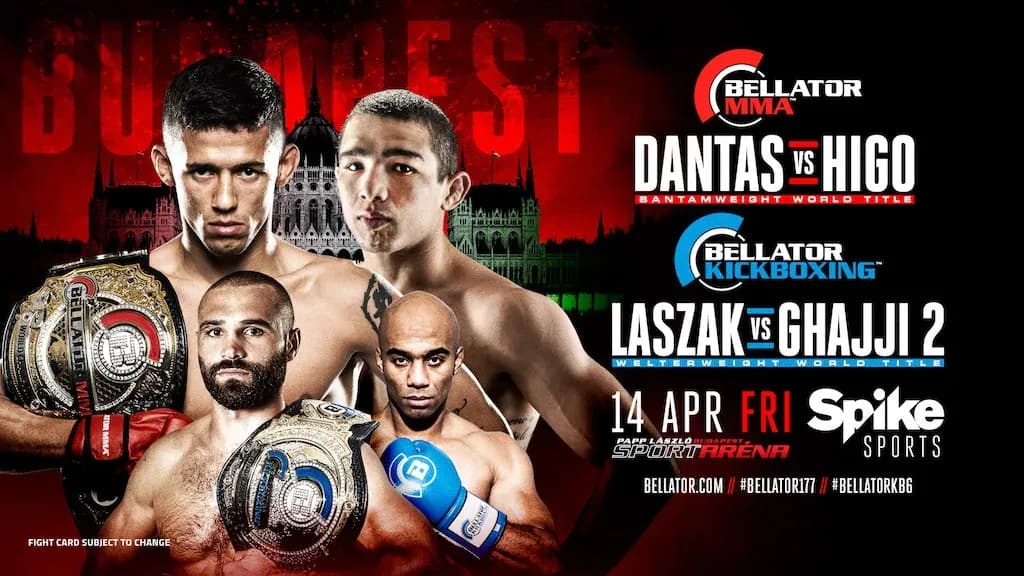 MMA article image