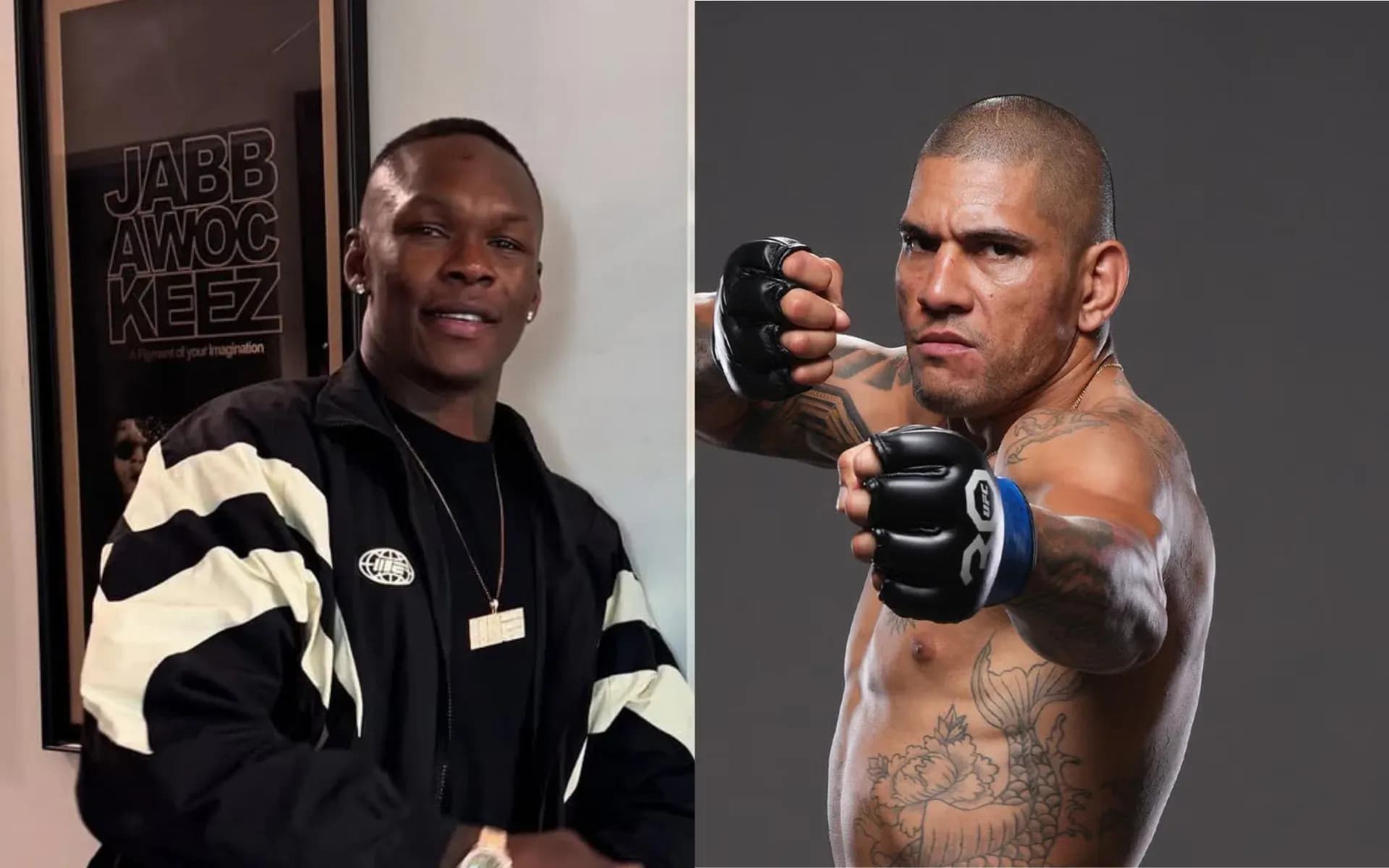 Israel Adesanya and Alex Pereira have extensively competed in kickboxing and MMA 