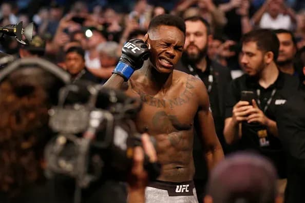 MMA article image