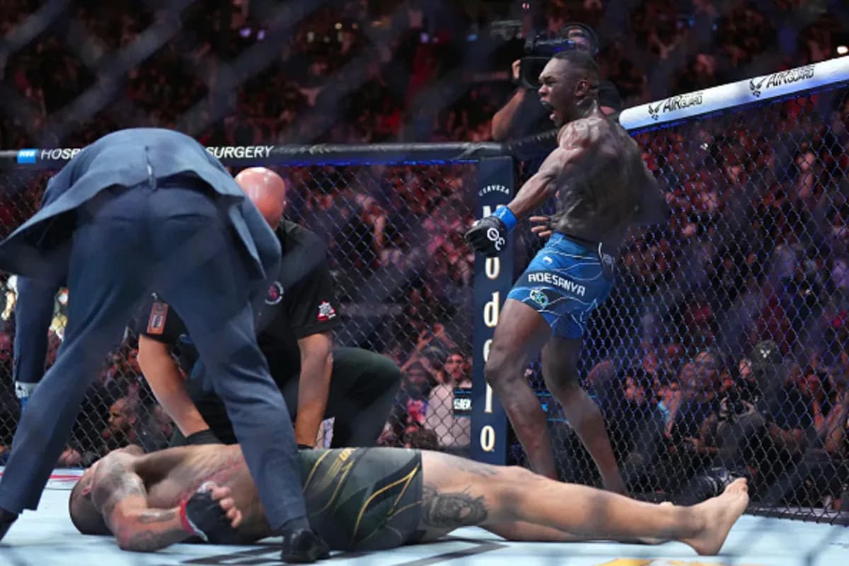 MMA article image