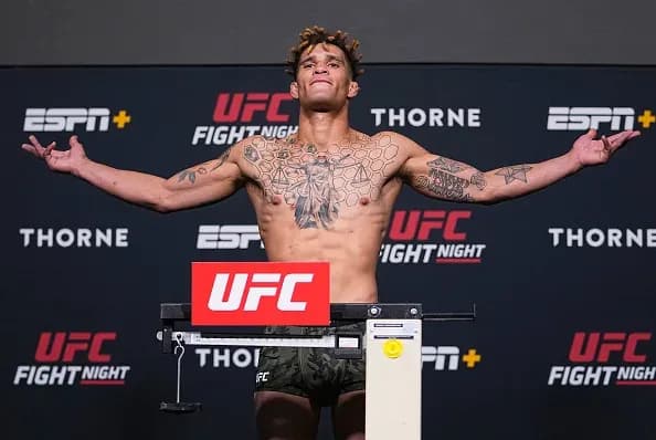 MMA article image