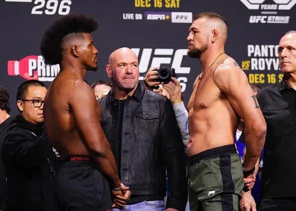 MMA article image