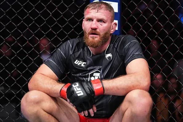 MMA article image