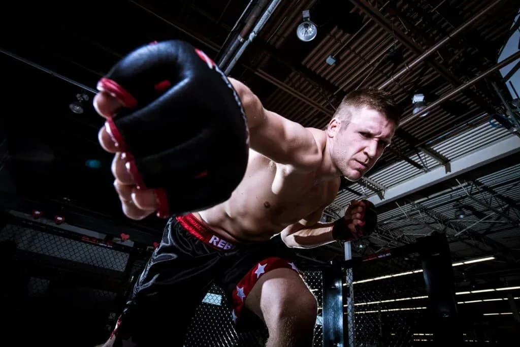 MMA article image