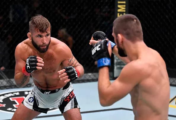 MMA article image