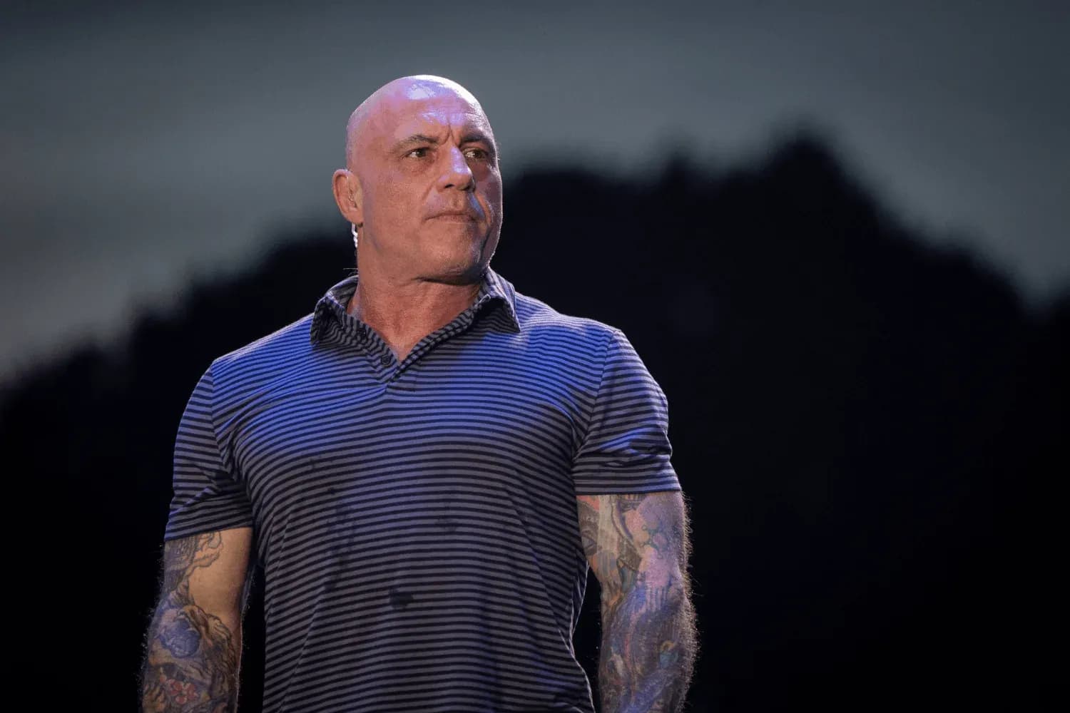 Joe Rogan stands on stage