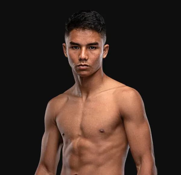MMA article image