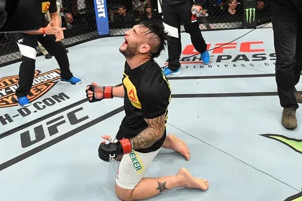 MMA article image