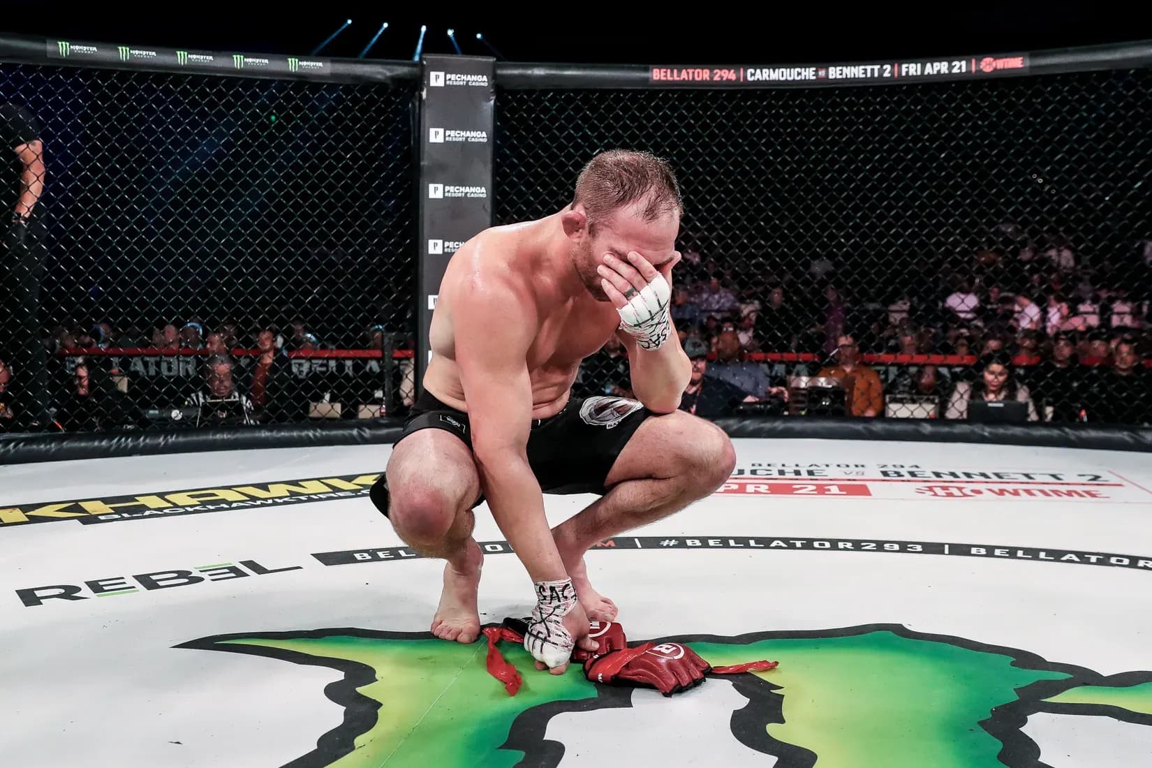 Bellator 293
