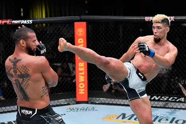 MMA article image