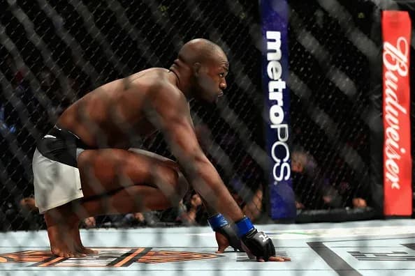 MMA article image