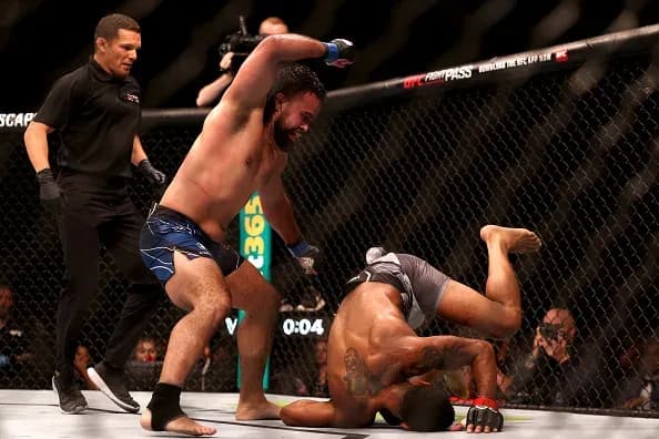 MMA article image