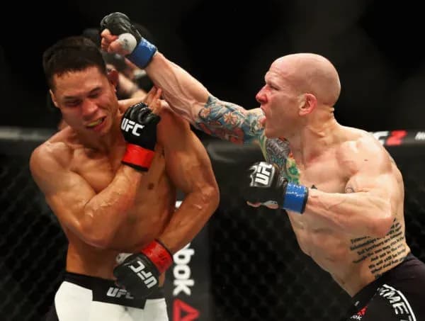 MMA article image