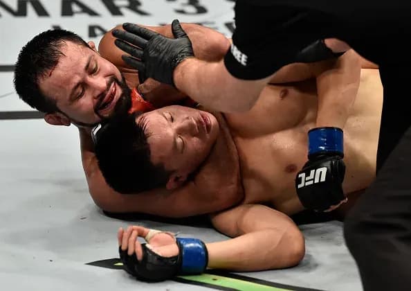 MMA article image