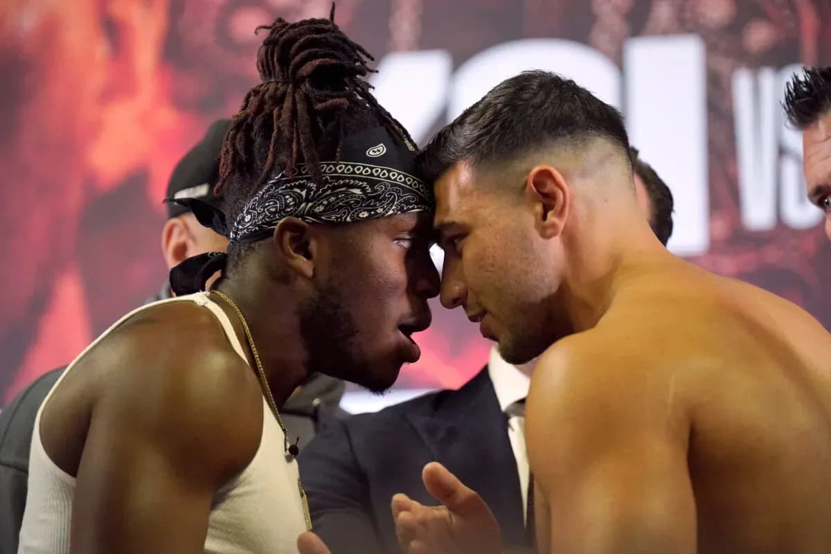 MMA article image