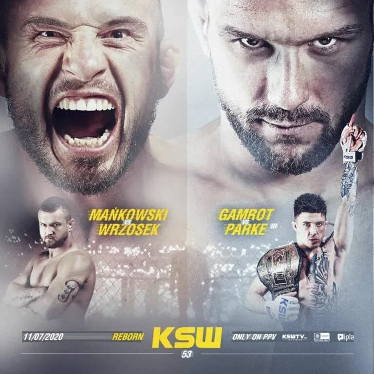 MMA article image