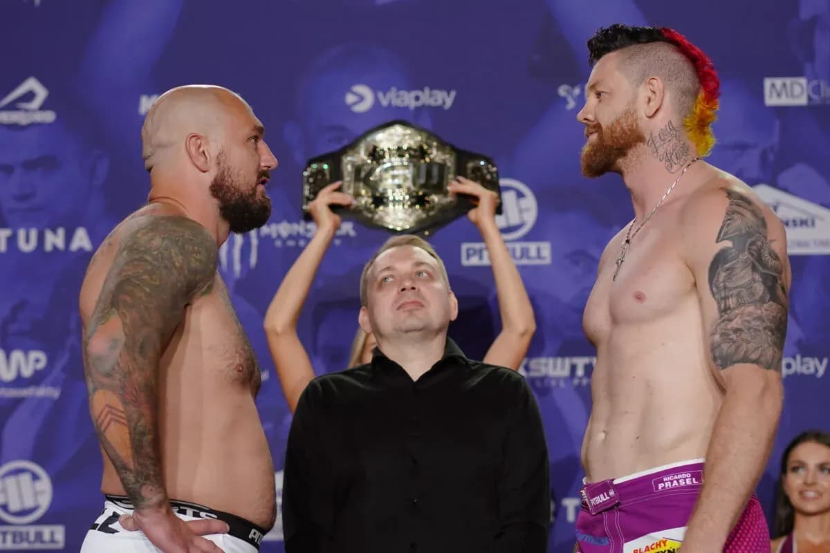 MMA article image