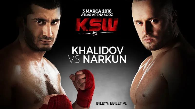 MMA article image