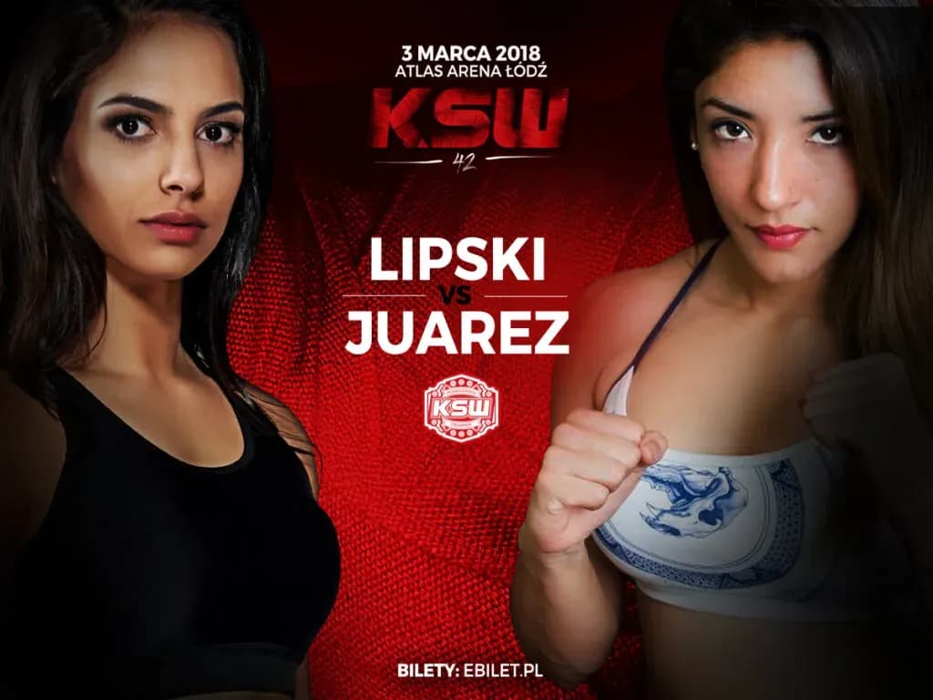 MMA article image