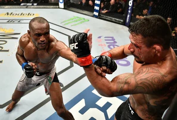 MMA article image