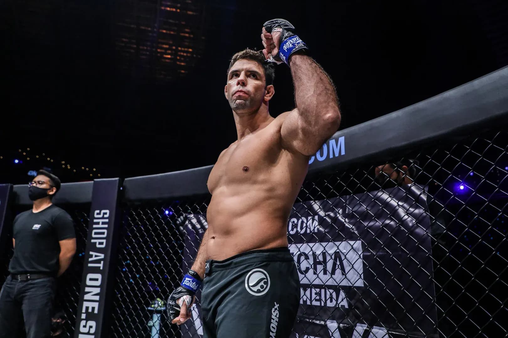 MMA article image