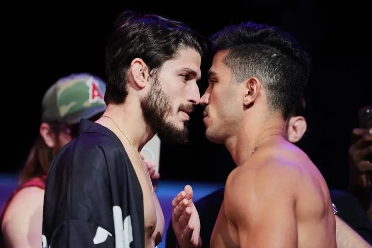MMA article image