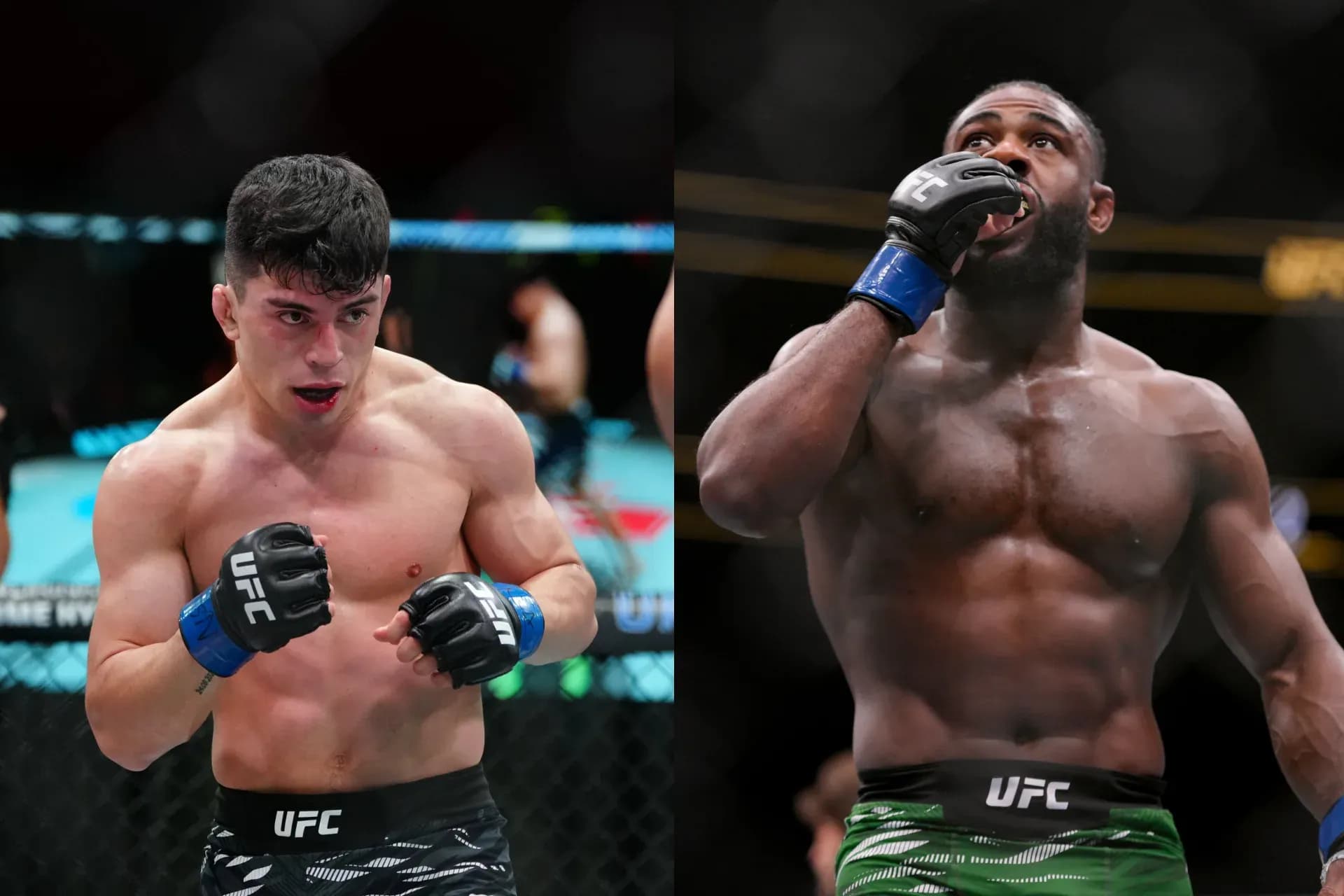 Kevin Vallejos and Aljamain Sterling
