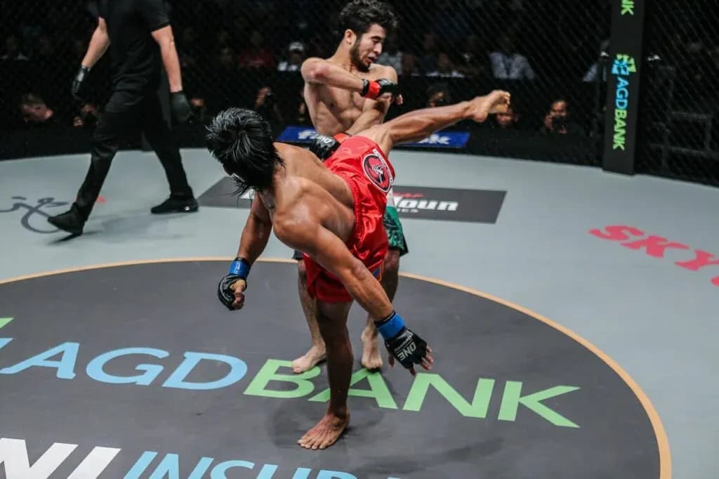 MMA article image