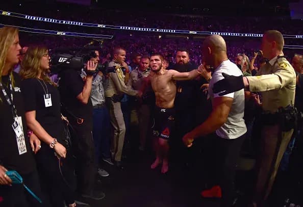 UFC 229
