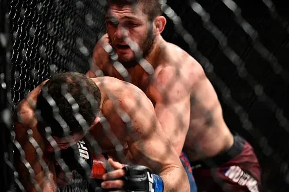 MMA article image