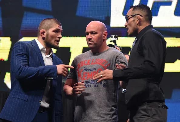 fights to make after UFC 229