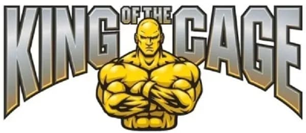 MMA article image