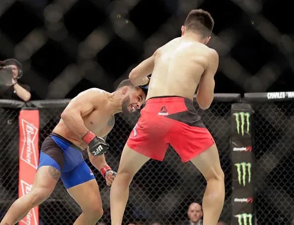 MMA article image