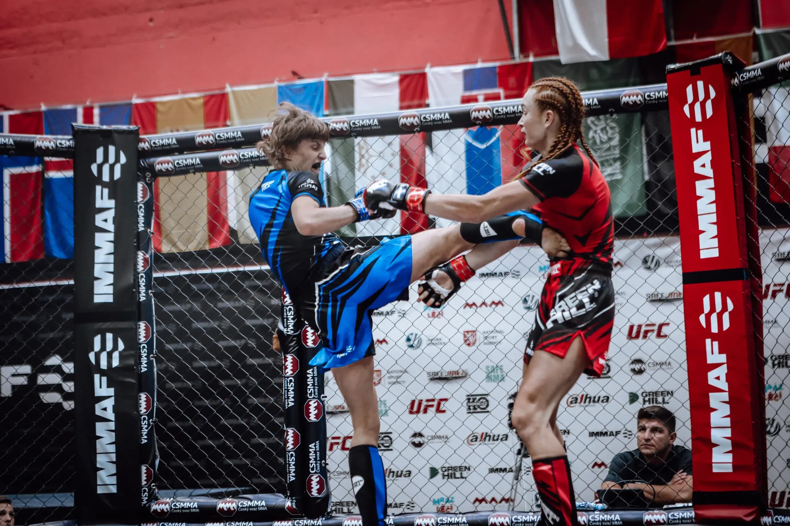 MMA article image