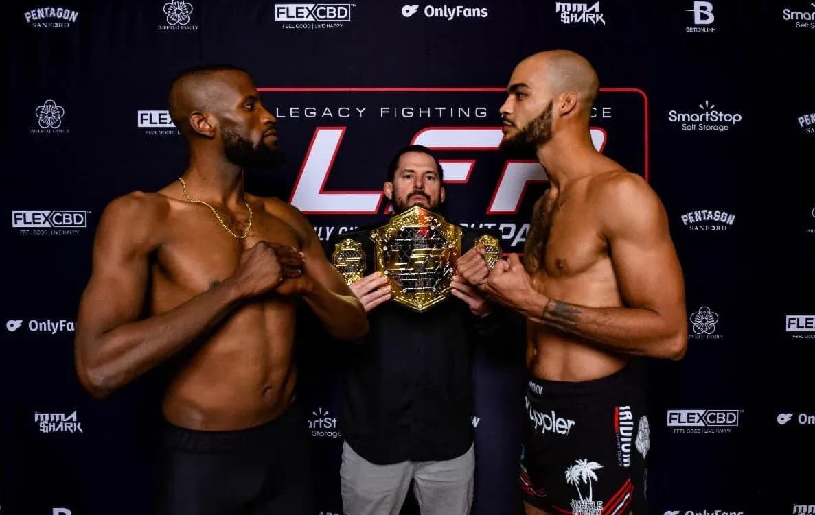 MMA article image