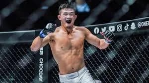 MMA article image