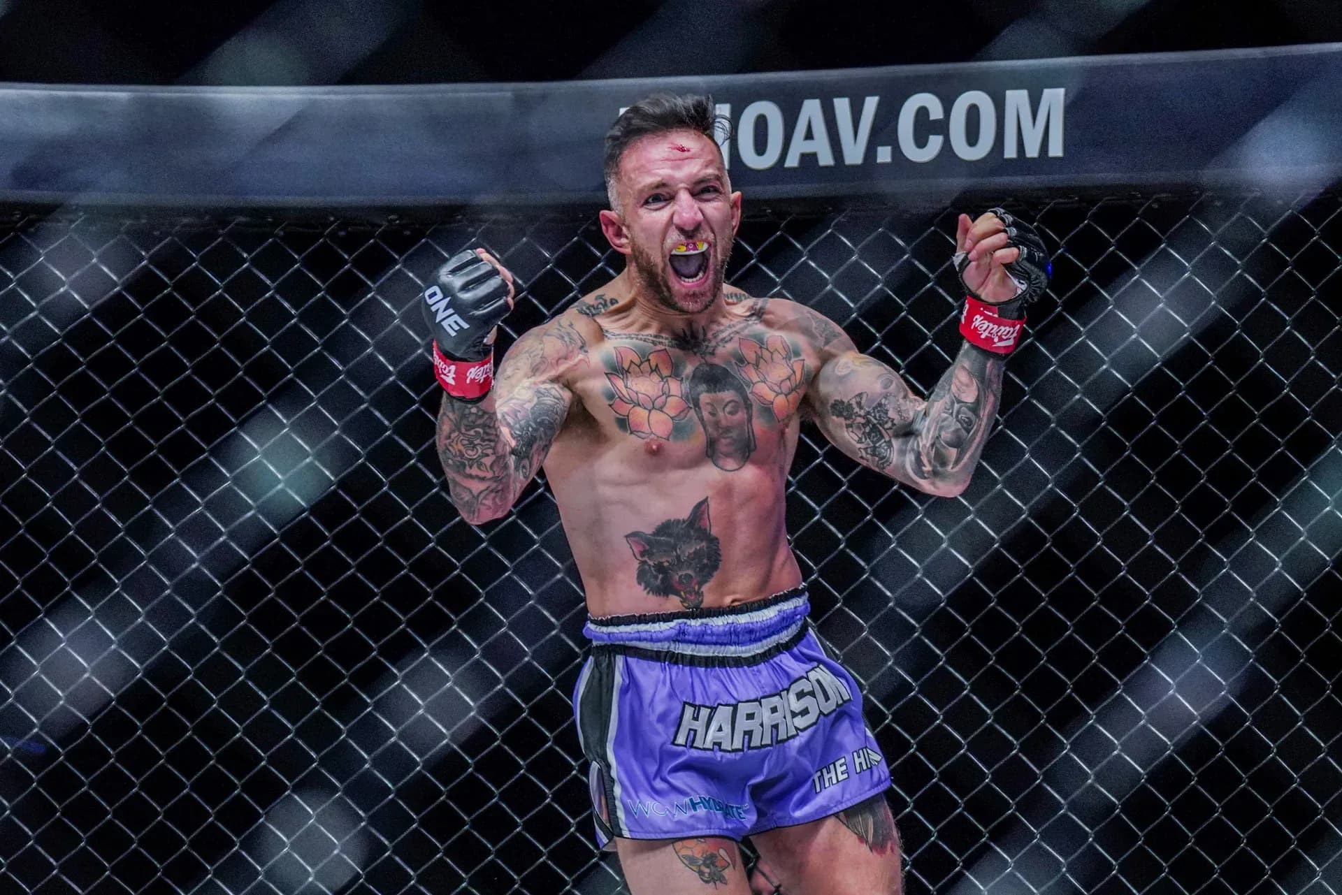 MMA article image